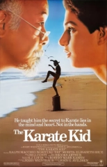The Karate Kid (1984) WEB-DL 480p | 720p | 1080p