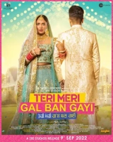Teri Meri Gal Ban Gayi (2022) WEB-DL 480p | 720p | 1080p