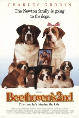 Beethoven’s 2nd (1993) BluRay x264 480p | 720p | 1080p