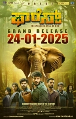 Forest (2025) WEB-DL HEVC DDP 720p | 1080p