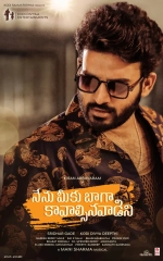 Nenu Meeku Baaga Kavalsinavaadini (2022) WEB-DL 480p | 720p | 1080p