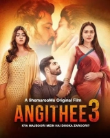 Angithee 3 (2024) WEB-DL 480p | 720p | 1080p