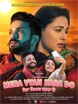 Mera Vyah Kara Do (2022) WEB-DL x264 AAC 480p | 720p | 1080p