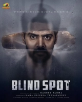 Blind Spot (2025) WEB-DL 480p | 720p | 1080p