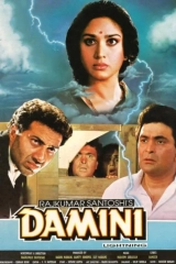 Damini (1993) WEB-DL 480p | 720p | 1080p