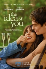 The Idea of You (2024) WEB-DL 480p | 720p | 1080p | 2160p