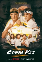 Cobra Kai (Season 1-6) (2025) WEB-DL 480p | 720p | 1080p