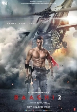 Baaghi 2 (2018) WEB-DL 480p | 720p | 1080p