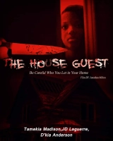 The House Guest (2020) WEB-DL 720p