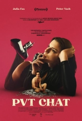 Pvt Chat (2020) WEB-DL 720p