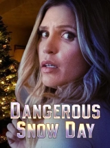 Dangerous Snow Day (2021) WEB-DL 720p