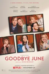 Goodbye June (2025) WEB-DL 480p | 720p | 1080p